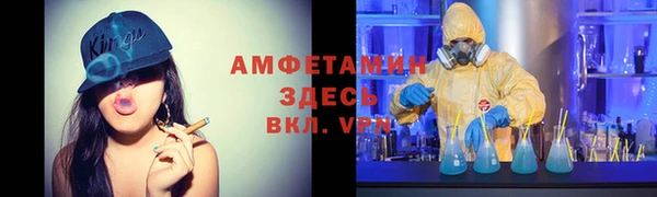 ПСИЛОЦИБИНОВЫЕ ГРИБЫ Вяземский